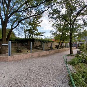 Meerkat (Suricata suricatta) enclosure