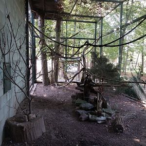 Night World - Red-legged Seriema (Cariama cristata)