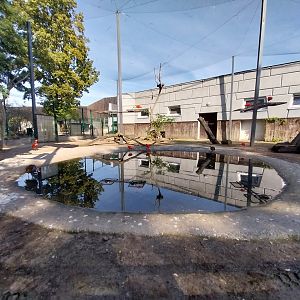 Tapir House - Mixed species aviary