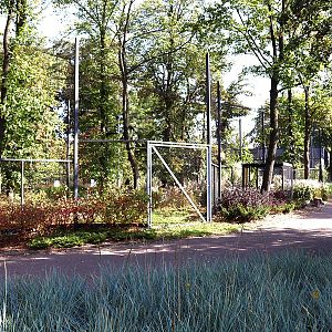 Tapir House - Mixed species enclosure