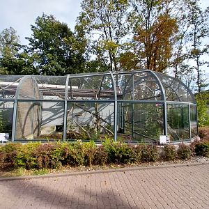 South-America House - Common Squirrel Monkey (Saimiri sciureus)