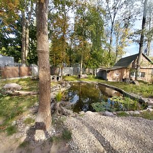 South-America House - Bush dog (Speothos venaticus) enclosure