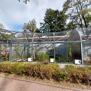 South-America House - Lineeaus Two-toed Sloth, Cotton-top Tamarin and Southern Three-banded armadillo