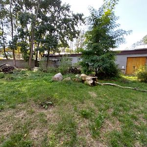 South-America House - Giant River Otter (Pteronura brasiliensis)