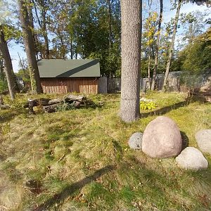 South-America House - Bush dog (Speothos venaticus) enclosure