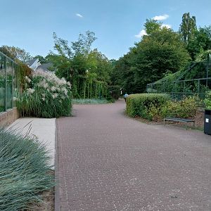 Around the felid enclosures