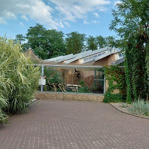 Fishing Cat (Prionailurus viverrinus) enclosure 2