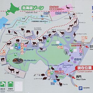Kushiro Zoo map-board