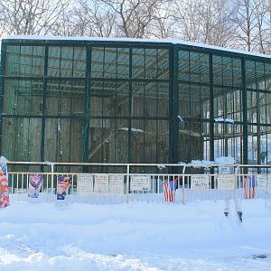 Bald Eagle aviary, Kushiro Zoo