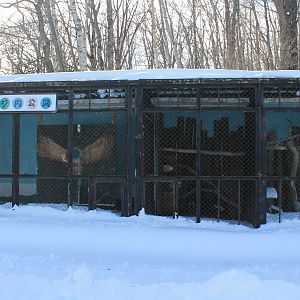 Empty owl aviaries, Kushiro Zoo