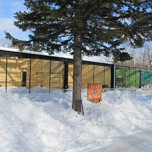 Tiger and Lion cages, Kushiro Zoo