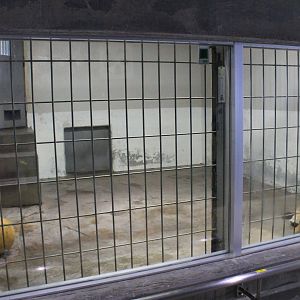 African Lion indoor quarters, Kushiro Zoo