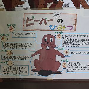 Beaver signage, Kushiro Zoo
