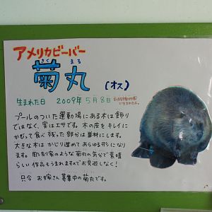 Beaver signage, Kushiro Zoo