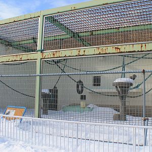 Chimpanzee cage, Kushiro Zoo