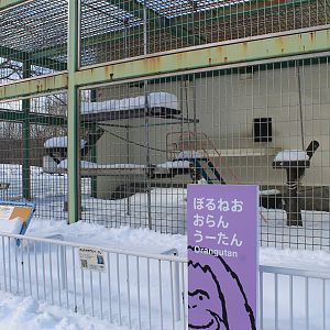 Orangutan cage, Kushiro Zoo