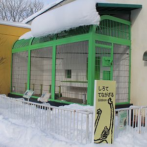 Lar Gibbon cage, Kushiro Zoo