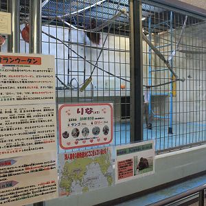 Orangutan indoor quarters, Kushiro Zoo