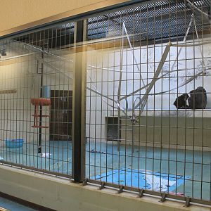 Chimpanzee indoor quarters, Kushiro Zoo