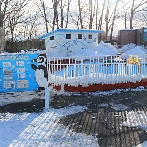 Humboldt Penguin enclosure, Kushiro Zoo