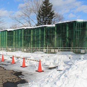 Bird of Prey aviaries, Kushiro Zoo