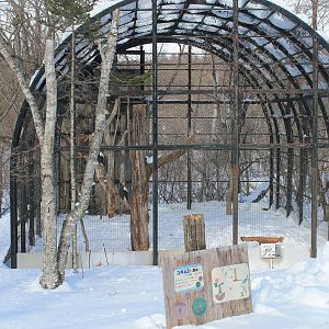 Steller's Sea Eagle aviary, Kushiro Zoo