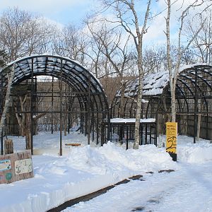 Eagle aviaries, Kushiro Zoo