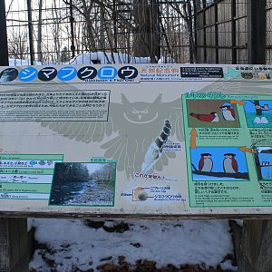 Blakiston's Fish Owl signage, Kushiro Zoo