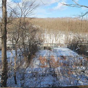 Red-crowned Crane pens, Kushiro Zoo