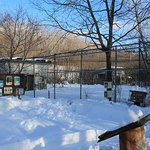 Red-crowned Crane pen, Kushiro Zoo