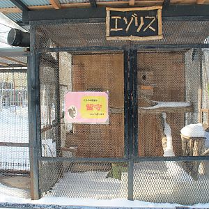 Hokkaido Squirrel cage, Kushiro Zoo