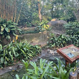 Giant Anteater Exhibit