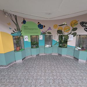 Caterpillar enclosures- Insectarium