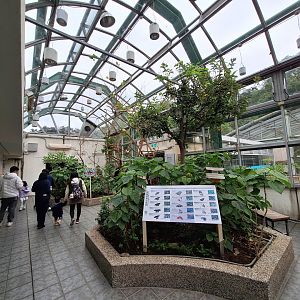 Butterfly Atrium- Insectarium