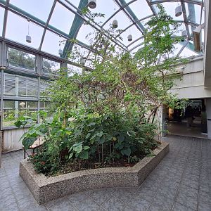 Butterfly Atrium- Insectarium