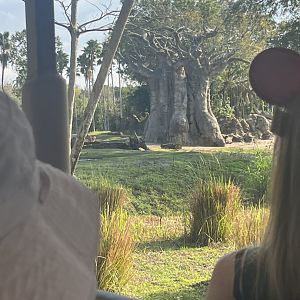 African Elephant Exhibit 2