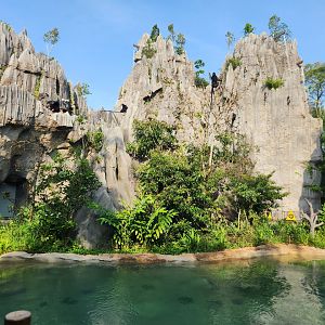 Rainforest Wild Asia- The Karsts