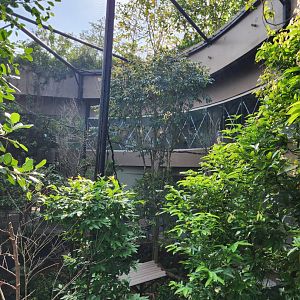 Rainforest Wild Asia- Sentinel foodhall aviary