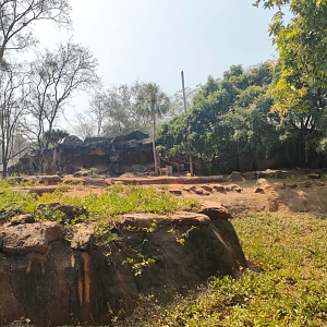 Babary sheep exhibit