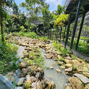 Rainforest Wild Asia- Lower stream trail