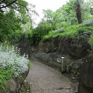 Gelada Reserve - Landscape and Scenery