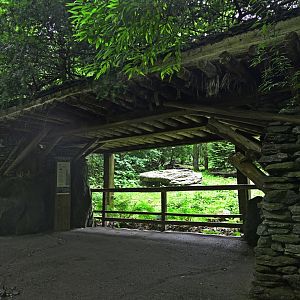 Himalayan Highlands - Snow Leopard (Panthera uncia) Exhibit Viewing Area
