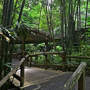 Himalayan Highlands - Landscape and Scenery