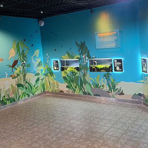 Aquatic Insects Room- Insectarium