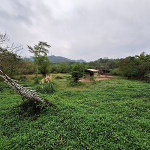 Zebra Yard- African Animals Area