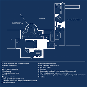 Layout of the indoor area