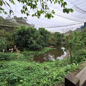 Main Aviary- Bird World