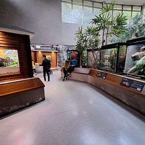 Amphibian and Reptile House