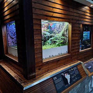 Example Exhibits- Amphibian and Reptile House