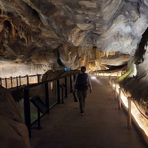 Rainforest Wild Asia- Cavern quiet zone 1